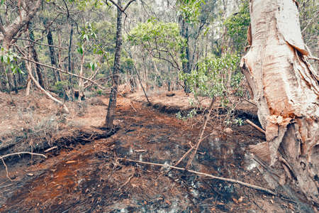Australian drought almost dry creekの写真素材