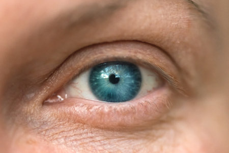 Single blue female eye, close up macro with selective focusの写真素材