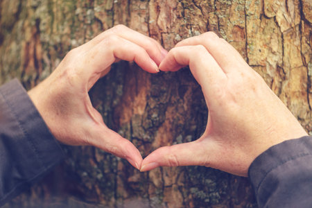 Female hands gesturing heart shape sign on tree trunk, ecology and environment concept for nature loversの写真素材
