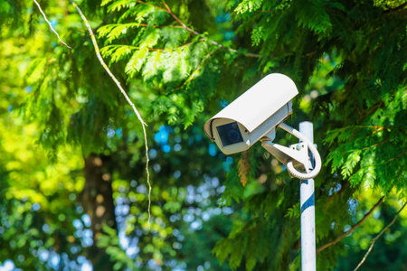 CCTV security camera for activity monitoring and surveillance in green park