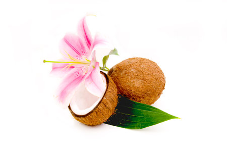 Lilly flower and coco nuts with green leafの写真素材