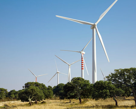 environmental conservation: wind turbines in the field