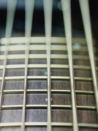 closeup of five cords electric bass and fretboard. Vertical shape, studio shot, selective focusの写真素材