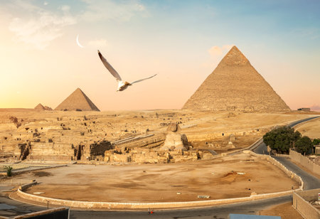 Pyramids of Giza and the Great Sphinx, Egyptの写真素材