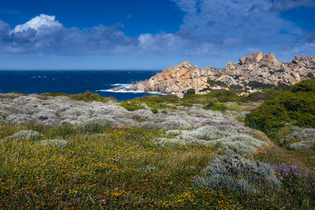 Italy, sardinia, mediterranean sea - view of sea and countryside. Santa Teresa di Galluraの写真素材