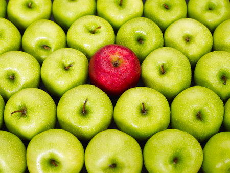 red apple standing out from large group of green apples. Horizontal shapeの写真素材
