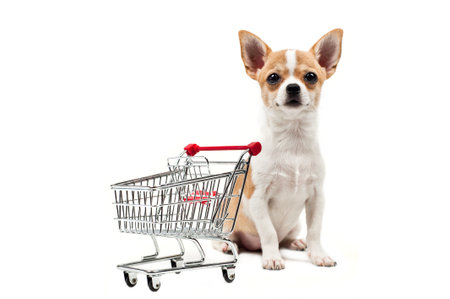 Pomeranian dog next to an empty shopping cart, over whiteの写真素材