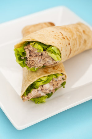 Two tuna melt wrap on a white plate on a blue backgroundの写真素材