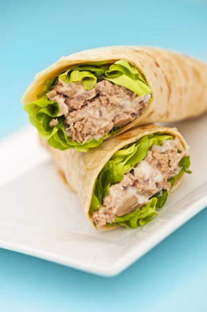 Two tuna melt wrap on a white plate on a blue backgroundの写真素材