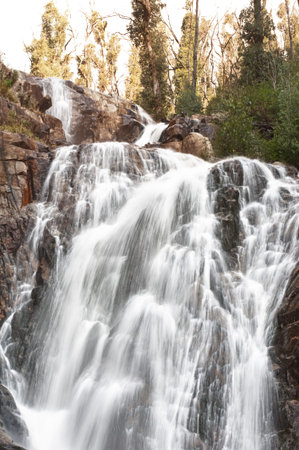 Stevenson Falls in the Yarra Valley, near Melbourne, Australiaの写真素材