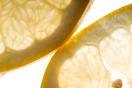 grapefruitsの写真素材