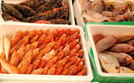 This is a photo of boxes with fish on the market