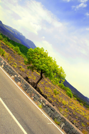 Photo of landscape with tree, meadow and mountains in backgroundの写真素材