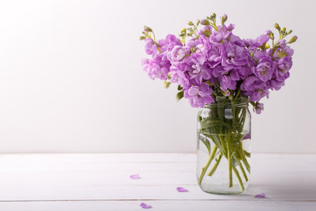 Bouquet of lilac matthiola flowers in vase on white wooden backgroundの写真素材
