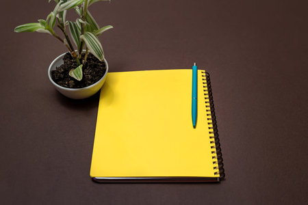 Multiple Assorted Collection Office Stationery Photo Placed Over Tableの写真素材