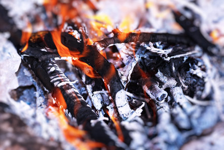 Beautiful burning bonfire in the camp, preparing charcoal for barbecue, natural fuel, abstract fire...