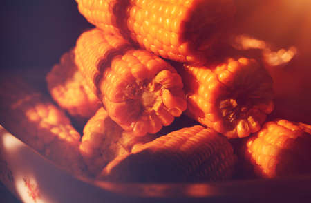 Closeup photo of a boiled corn in sun light, vintage style photo, delicious vegetables, traditional meal for Thanksgiving dayの写真素材