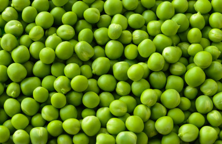 Background Full of Fresh Sweet Green Pea Ceeds. Healthy Eating Conceptの写真素材