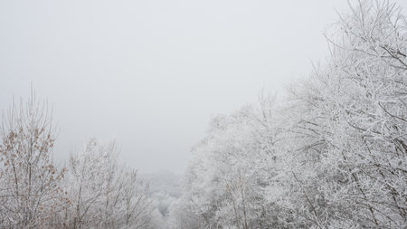 Winter Landscape with Trees Covered with Frost and Snow in the Mistの写真素材