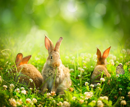 Rabbits. Art Design of Cute Little Easter Bunnies in the Meadowの写真素材