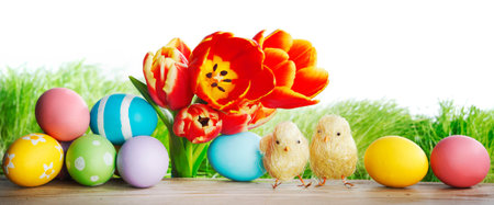 Easter eggs with tulips on spring grass background