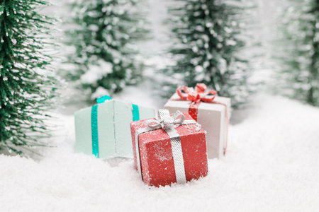 Christmas gifts in fir tree forest under snowの写真素材