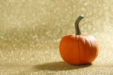 One Pumpkin on golden glittery background with bokeh lights and copy spaceの写真素材
