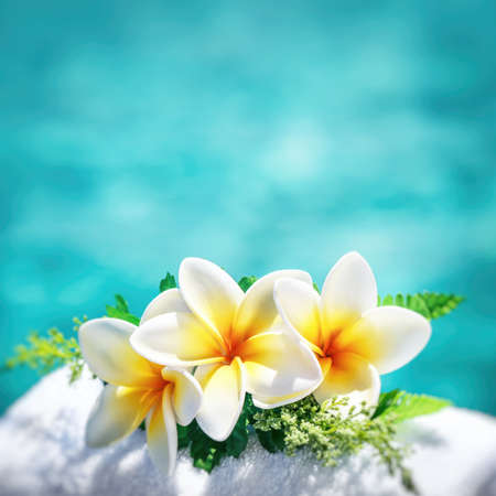 Frangipani flowers border over blue water background, spa still life, travel and tourism, conceptual photo of a summer vacation with copy spaceの写真素材