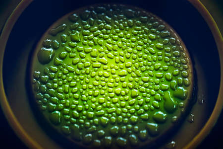 Experimental lab sample with biomaterials, laboratory studies for the treatment of the diseases, chemistry in medical inventionsの写真素材