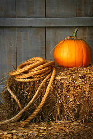 Pumpkin with rope on a bale of hayの写真素材