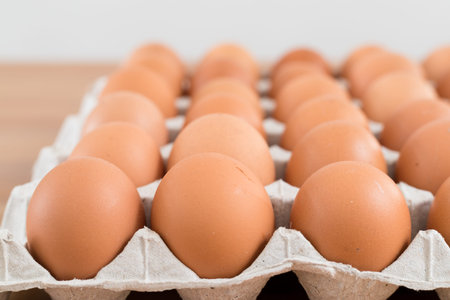 Chicken Egg in pack