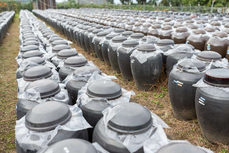 Row of Vinegar Barrelの写真素材