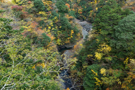 Autumn landscapeの写真素材