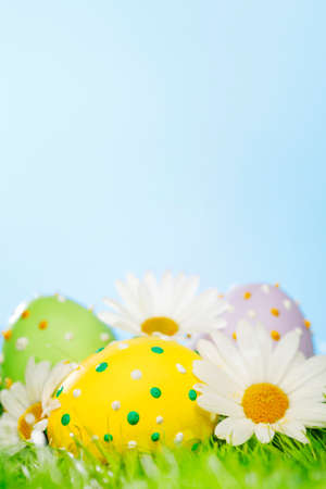 Colorful easter eggs in fresh spring green grass with flowersの写真素材