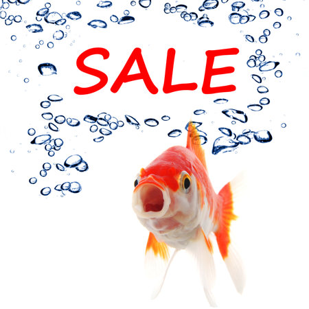 sale marketing or shopping concept with goldfish on whiteの写真素材