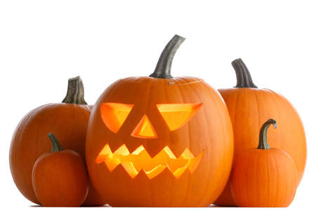 Halloween Pumpkins isolated on white backgroundの写真素材