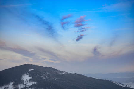 Beautiful Winter Mountain Landscape with Fir Trees in the Morning Fog.の写真素材