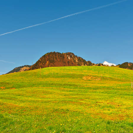 Alpine Pasture Framed by Mountains in Switzerlandの写真素材