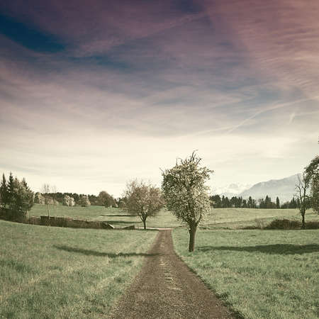 Dirt Road Leading to the Farmhouse in the Swiss Alps, Vintage Style Toned Pictureの写真素材