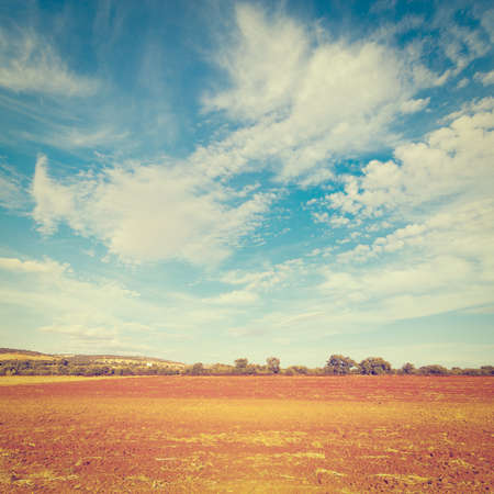 Plowed Fields of Spain in a Autumnの写真素材