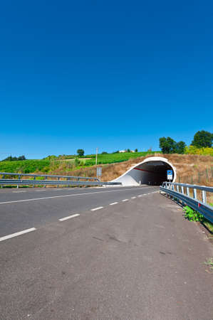 Tunnel under the Vineyard on the Asphalt Road in Tuscany, Italyの写真素材