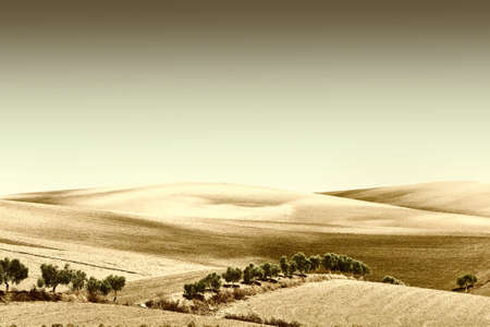 Plowed Sloping Hills of Spain in the Autumn, Vintage Style Toned Pictureの写真素材