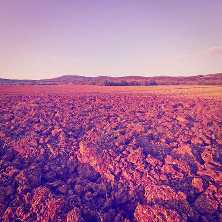 Plowed Fields of Italy in a Autumn at Sunset, Instagram Effectの写真素材