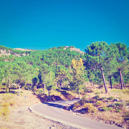 Winding Asphalt Road in the Cantabrian Mountains, Spain, Instagram Effectの写真素材