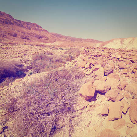 Desert on the West Bank of the Jordan River, Instagram Effectの写真素材