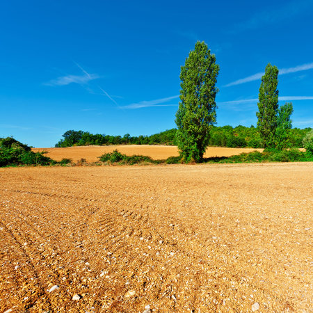Plowed Sloping Fields of France in the Autumn