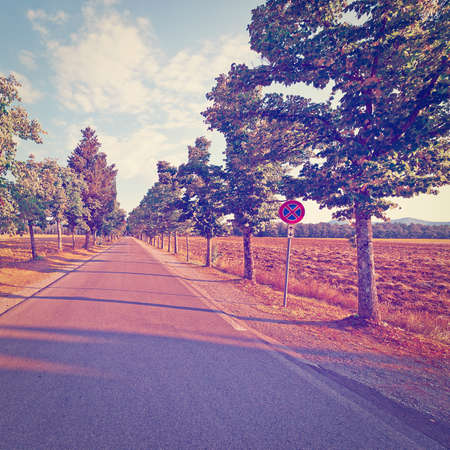 Straight Asphalt Road between the Plowed Fields in Italy, Instagram Effectの写真素材
