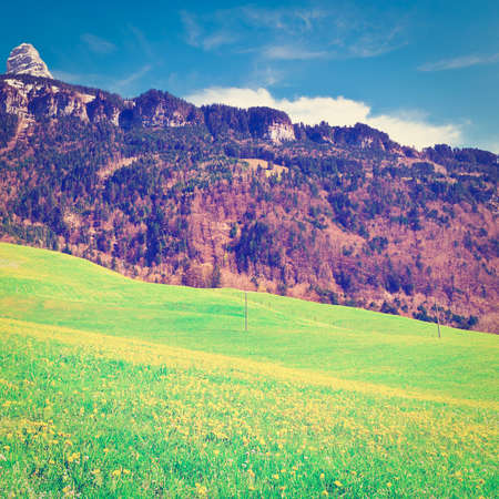 Alpine Pasture Framed by Mountains in Switzerland, Instagram Effectの写真素材