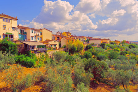 Olive Grove on the Background of the Italian City, Vintage Style Toned Picture
