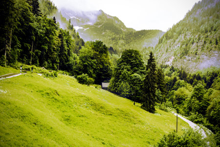 Morning mist over the Austrian landscape with forests, mountains, pastures, meadows and villages....